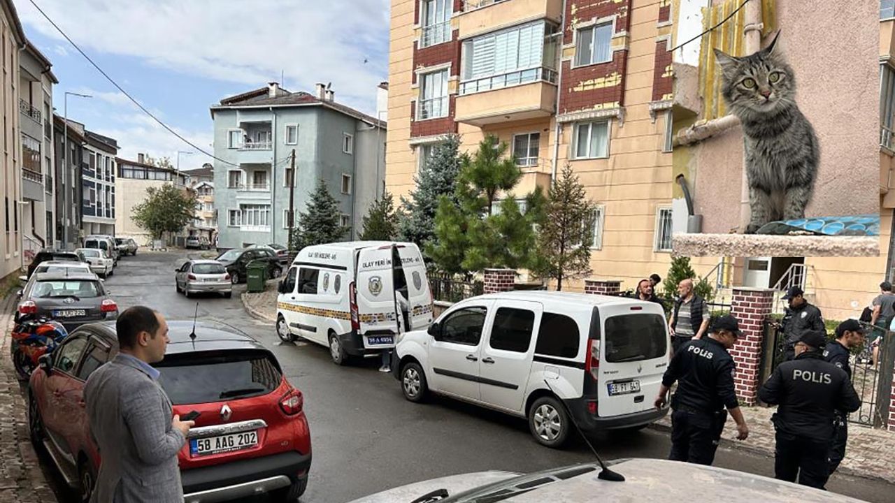 80 Yaşındaki adam kedi yüzünden dehşet saçtı! 1'i ağır 2 yaralı