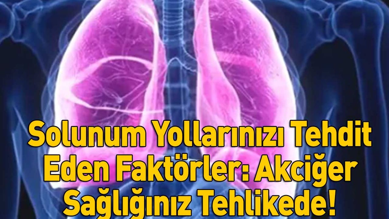Solunum Yollarınızı Tehdit Eden Faktörler: Akciğer Sağlığınız Tehlikede!