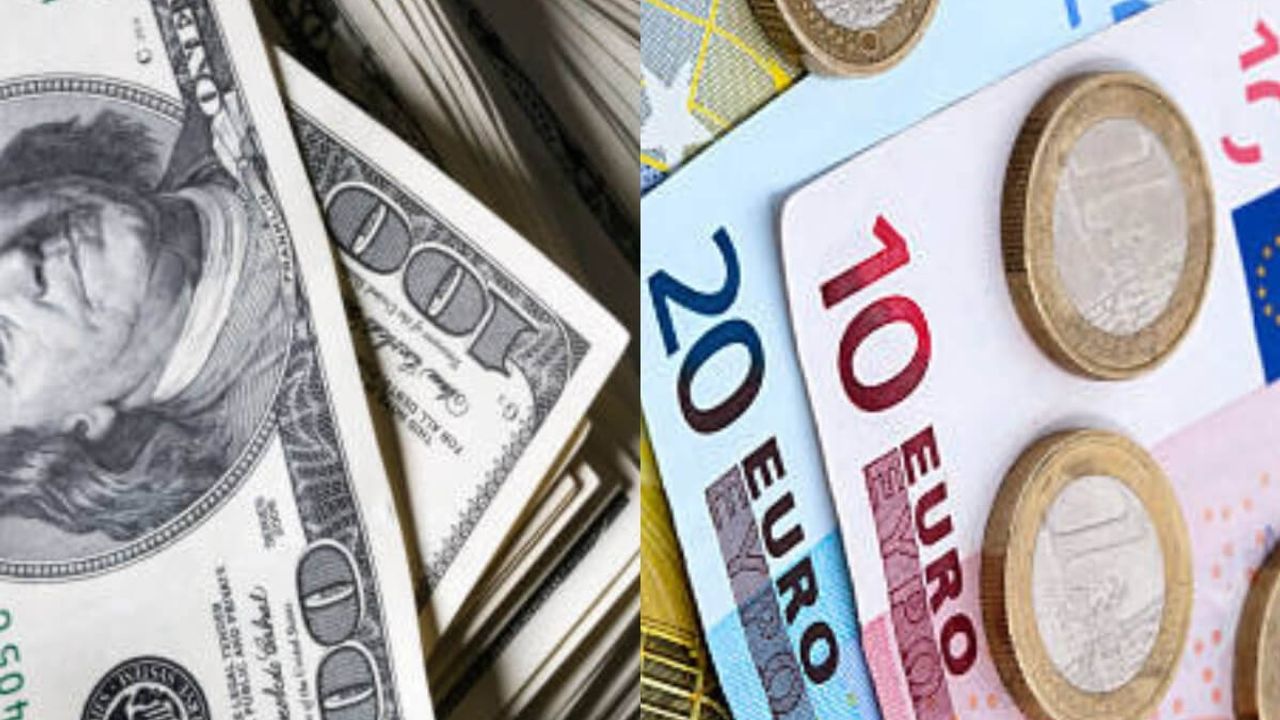 Ünlü ekonomist Dolar mı Euro mu sorusuna bakın ne cevap verdi!