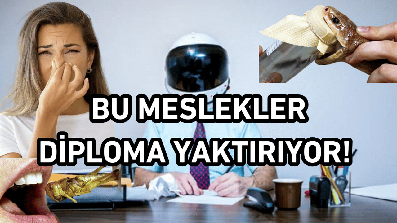 Diploma yaktıran en garip meslekler...