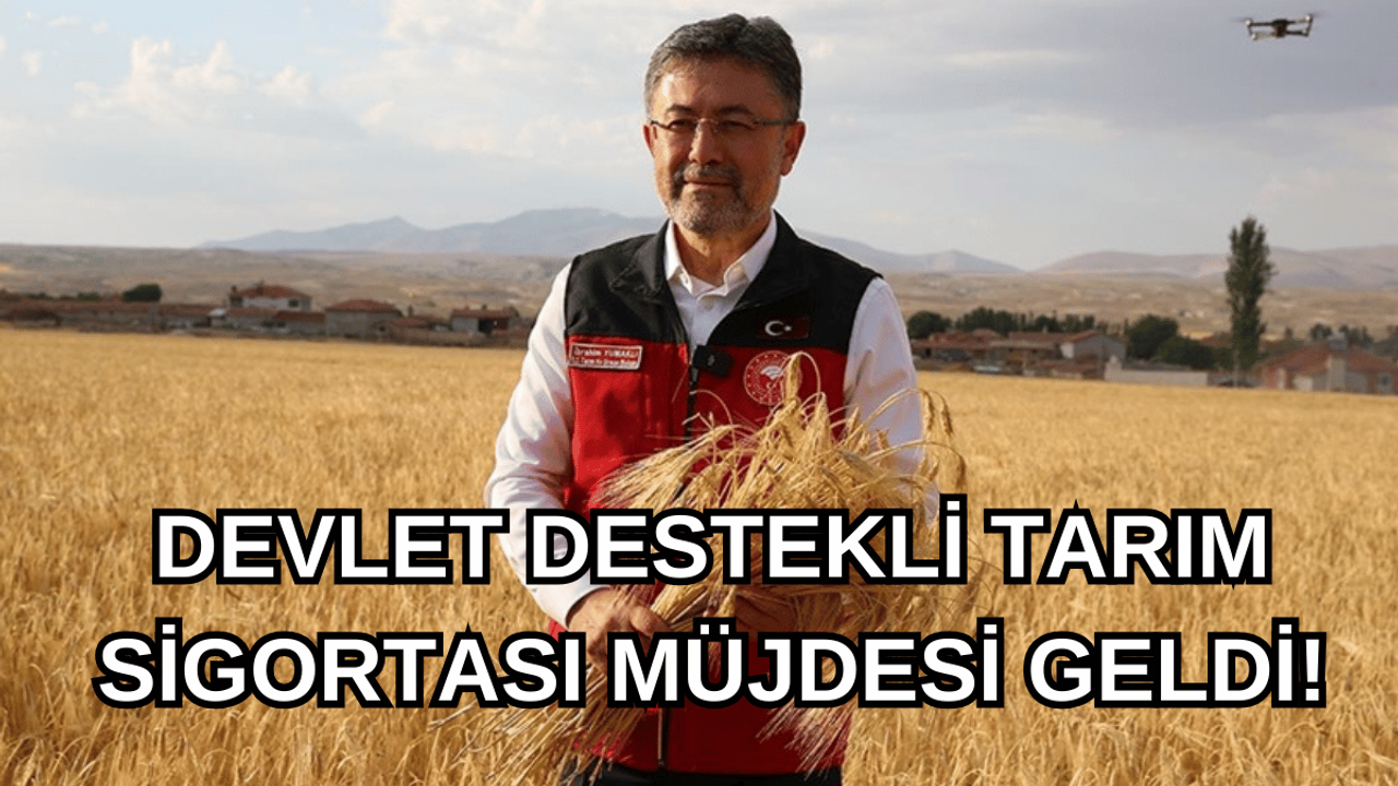 Çiftçilere müjdeli haber geldi! Tarım sigortaları 2025’i yeniliklerle karşılayacak