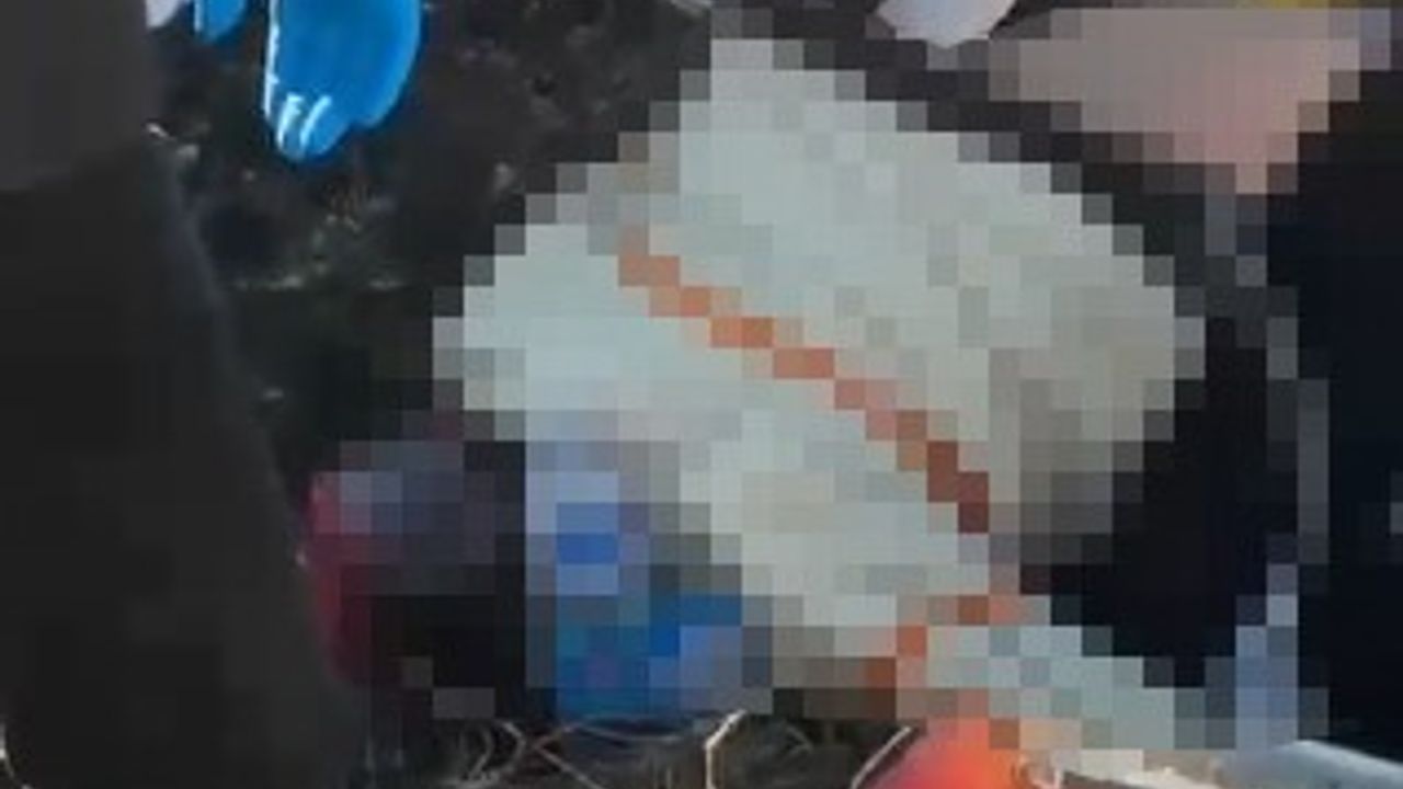 29 yaşındaki genç, yol kenarında ölü bulundu!