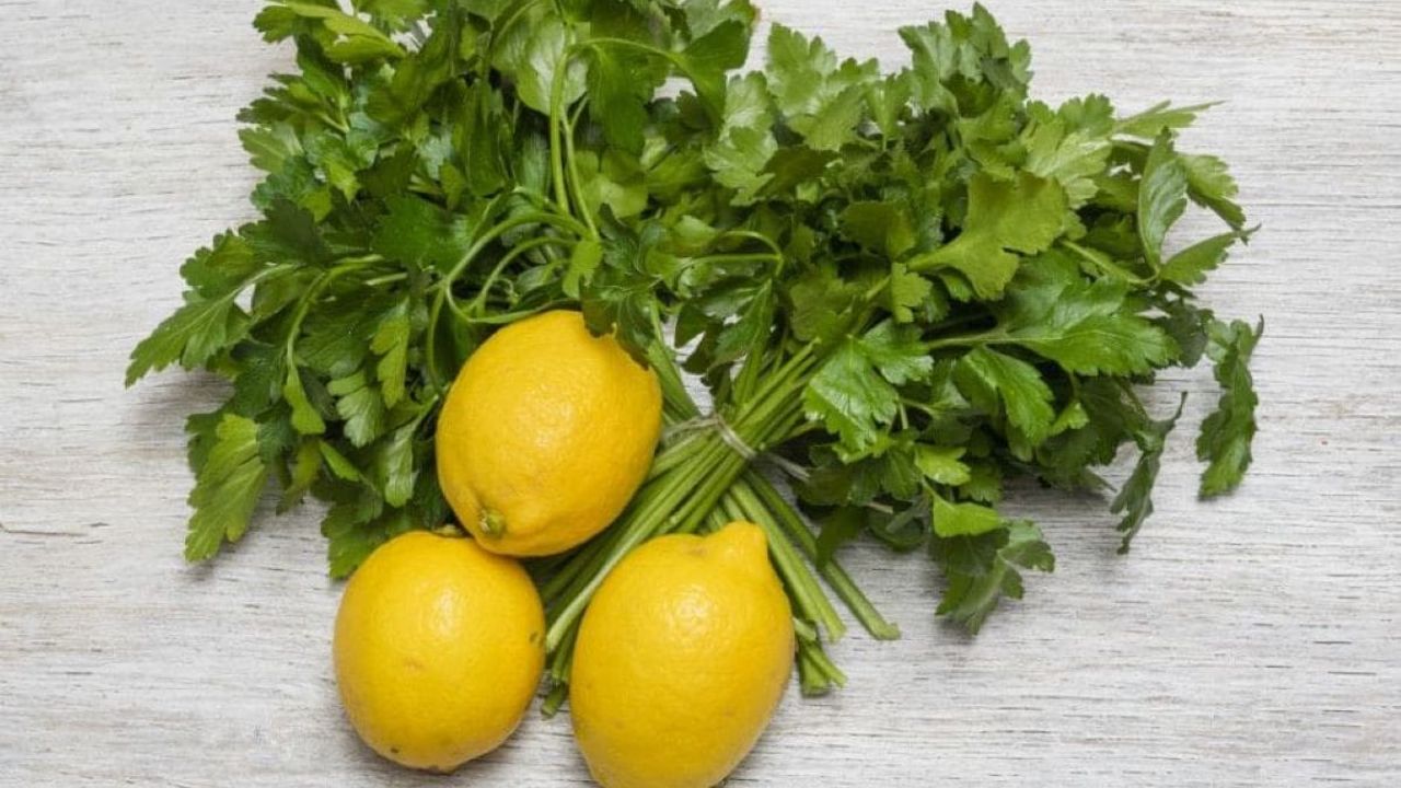 Ağız Kokusuna Veda: Maydanoz ve Limonun Mucizevi Gücü