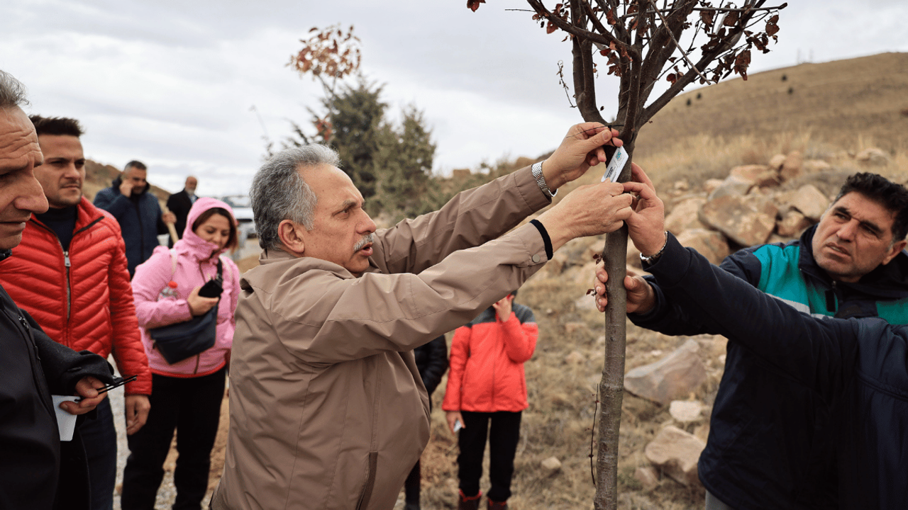 Ali Dağı'nda yüz güldüren görüntüler!