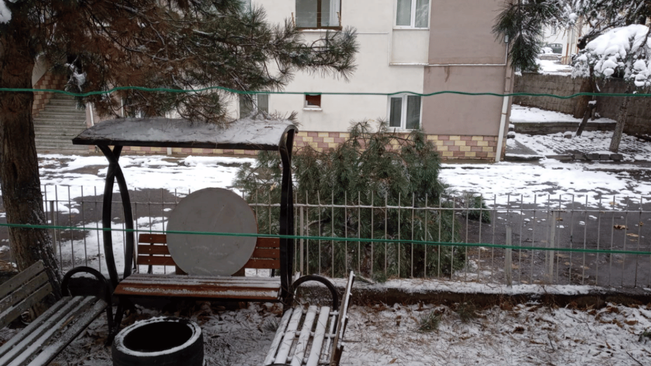 Kayseri'de korkutan anlar! Koca ağaç kar nedeniyle devrildi!
