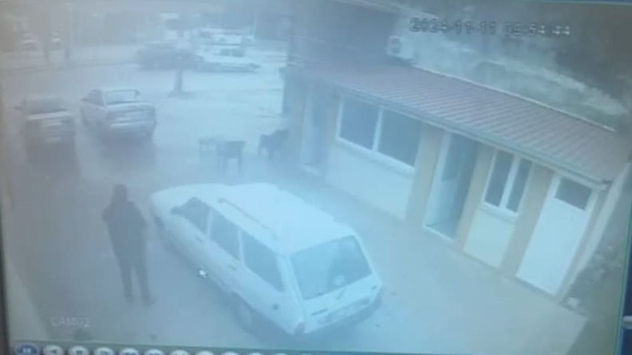 Husumetli kuzeninin üzerine kurşun yağdırdı: O anlar kamerada!