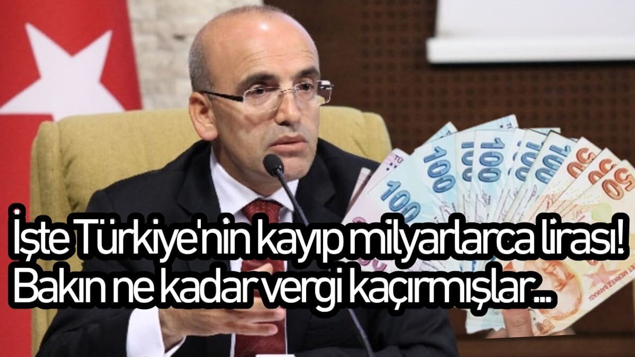 İşte Türkiye'nin kayıp milyarlarca lirası! Bakın ne kadar vergi kaçırmışlar...