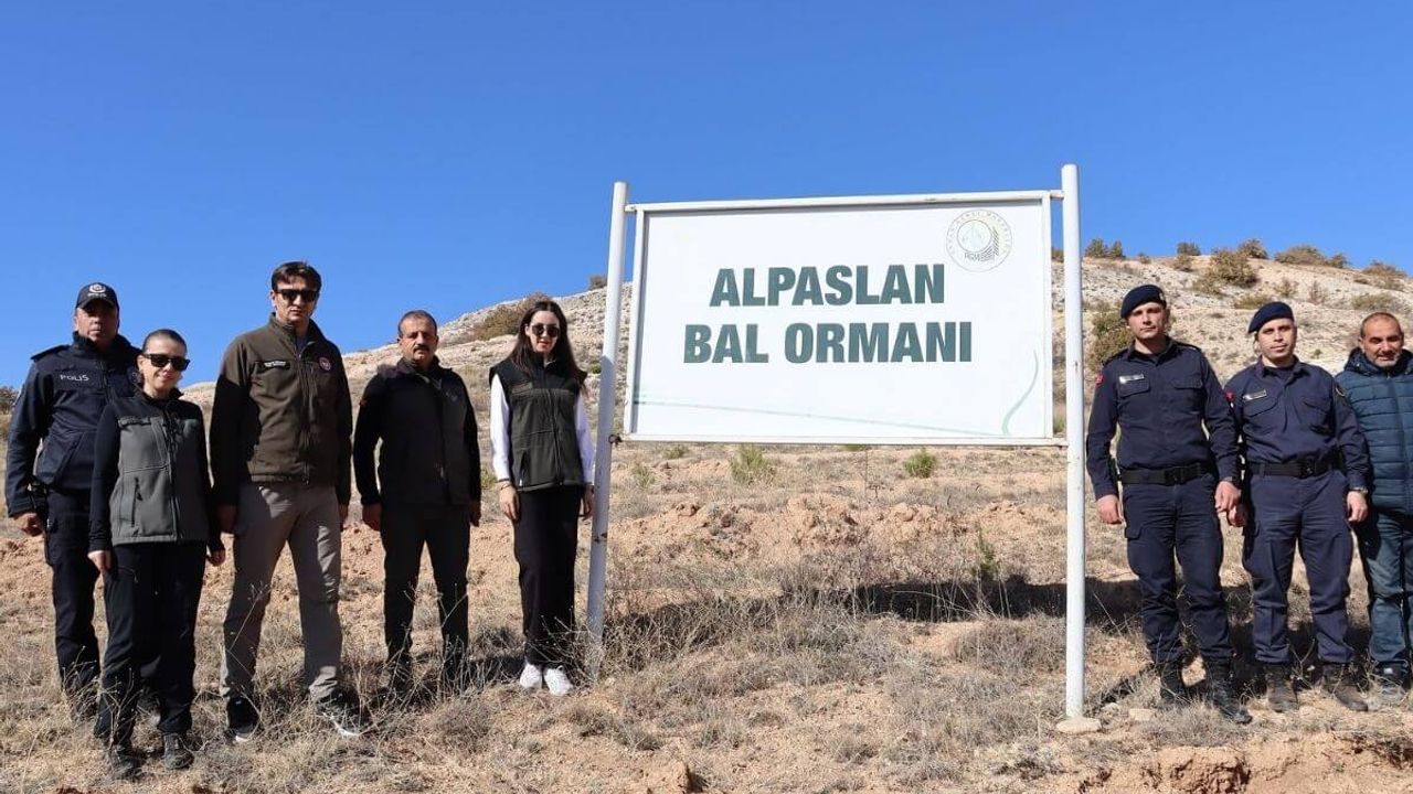 Kayseri'nin en büyük ormanı bakın hangi ilçeye yapılıyor?