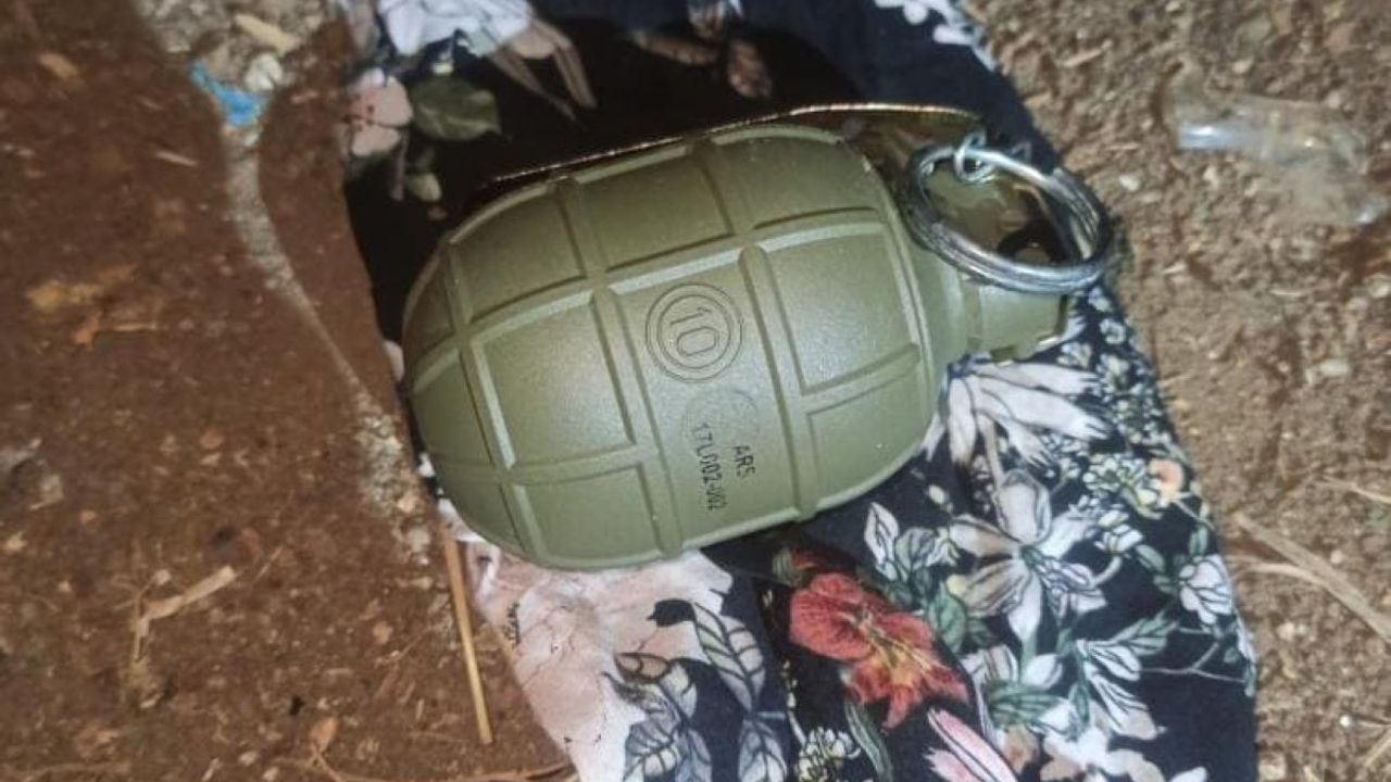 Polis baskın yaptı: Köpek kulübesinde el bombası, yataktan da silah çıktı!
