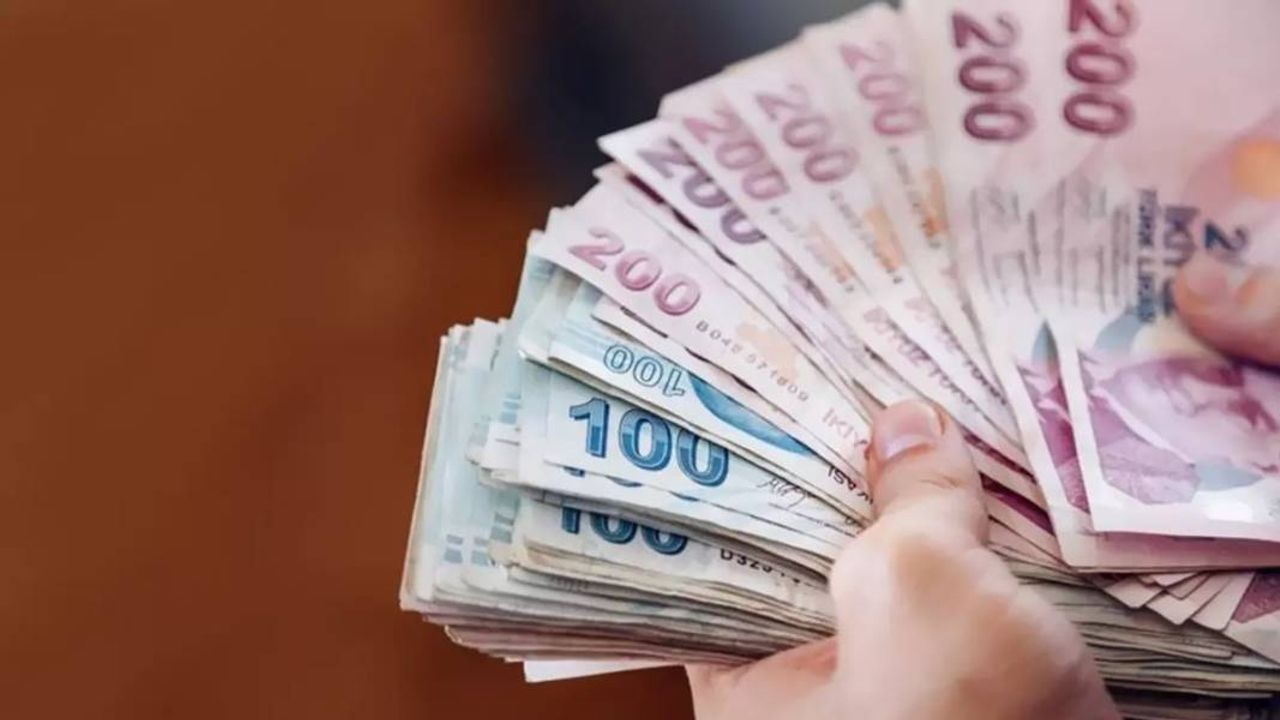 Ben yaparım diyen acele etsin! Bu işi yapana günlük 3 bin lira verilecek