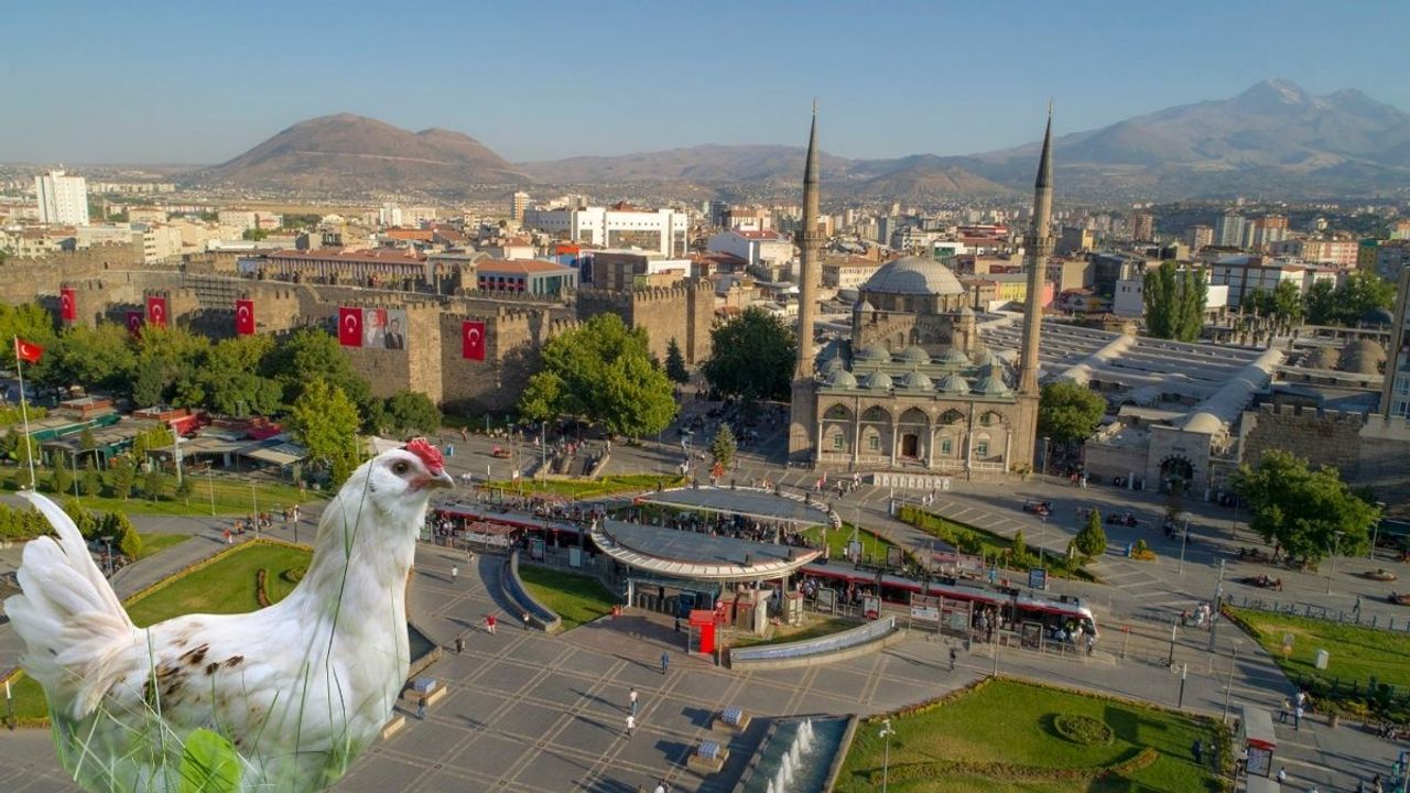 Tavuk eti üretimi artıyor! Kayseri'de fiyatlar azalacak mı?