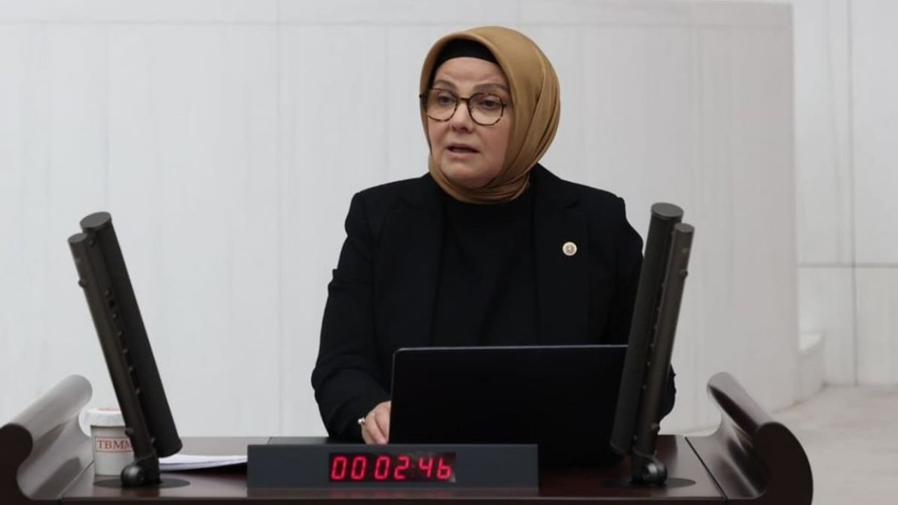 AK Partili Milletvekilinden Türkiye-Galler maçı için teşekkür mesajı