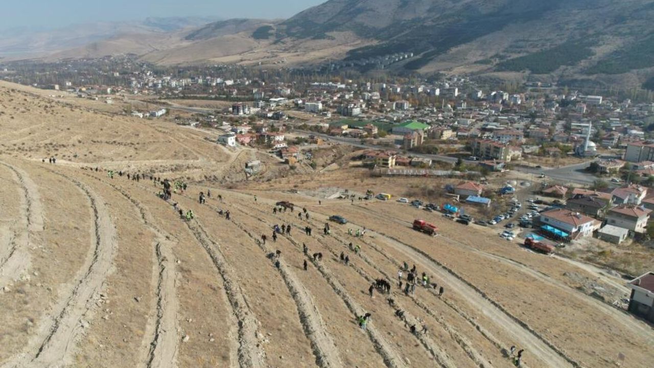 Ağaçlandırma gününe özel Yahyalı’da binlerce fidan dikildi