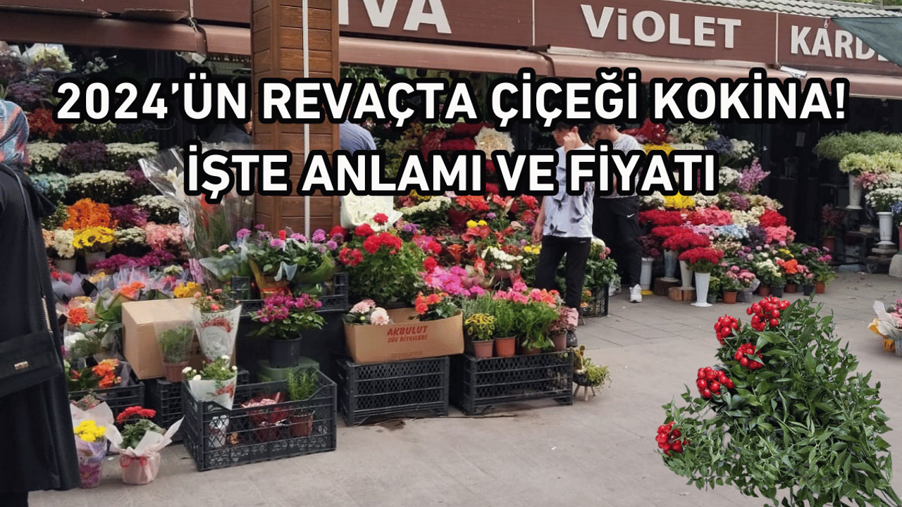 2024’ün Revaçta Çiçeği Kokina! İşte Anlamı ve Fiyatı