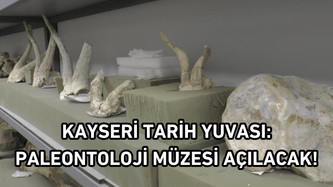 Kayseri Tarih Yuvası: Paleontoloji Müzesi Açılacak!