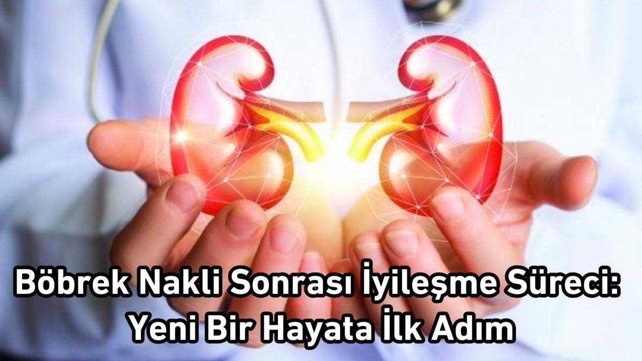Böbrek Nakli Sonrası İyileşme Süreci: Yeni Bir Hayata İlk Adım