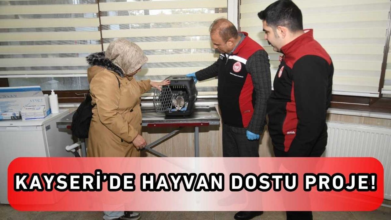 Kayseri’de hayvan dostu proje!