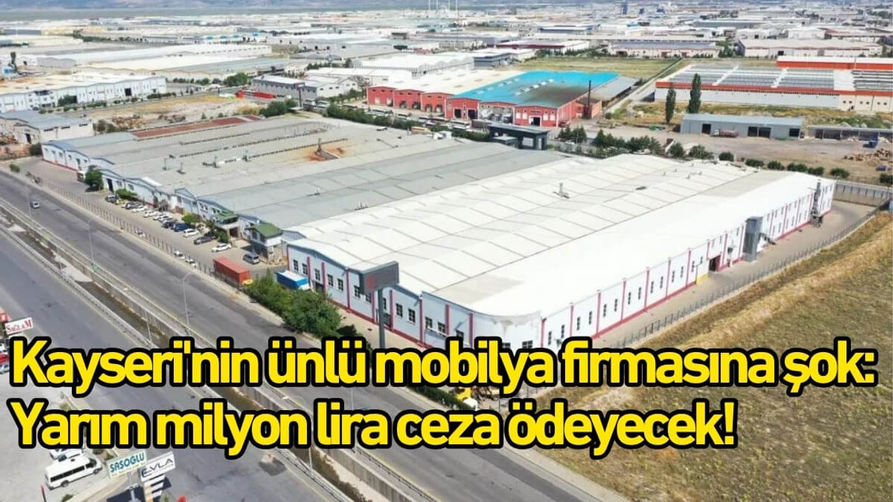Kayseri'nin ünlü mobilya firmasına şok: Yarım milyon lira ceza ödeyecek!
