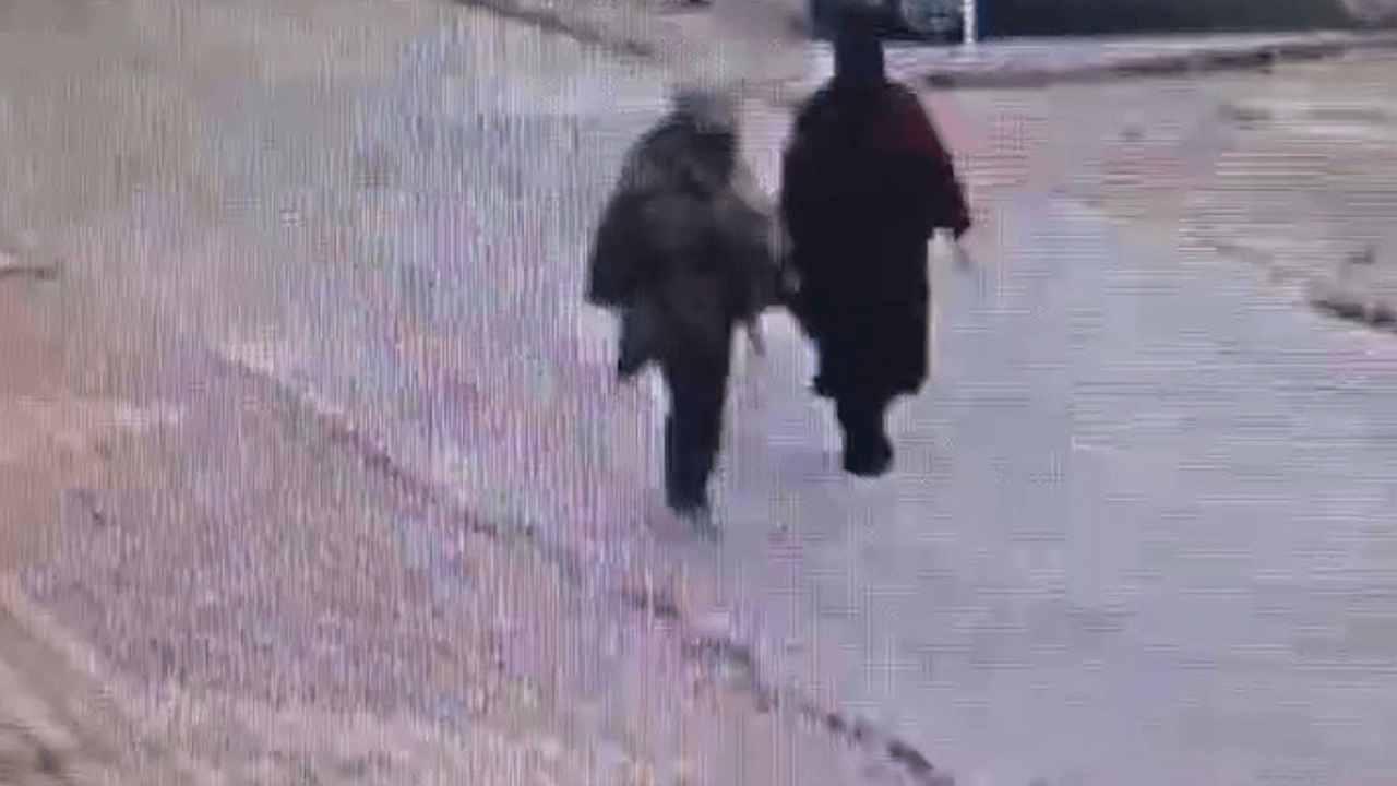 Hırsızlıkta sınır tanımadı! Dil düşürme yöntemiyle çaldıkça çaldı!