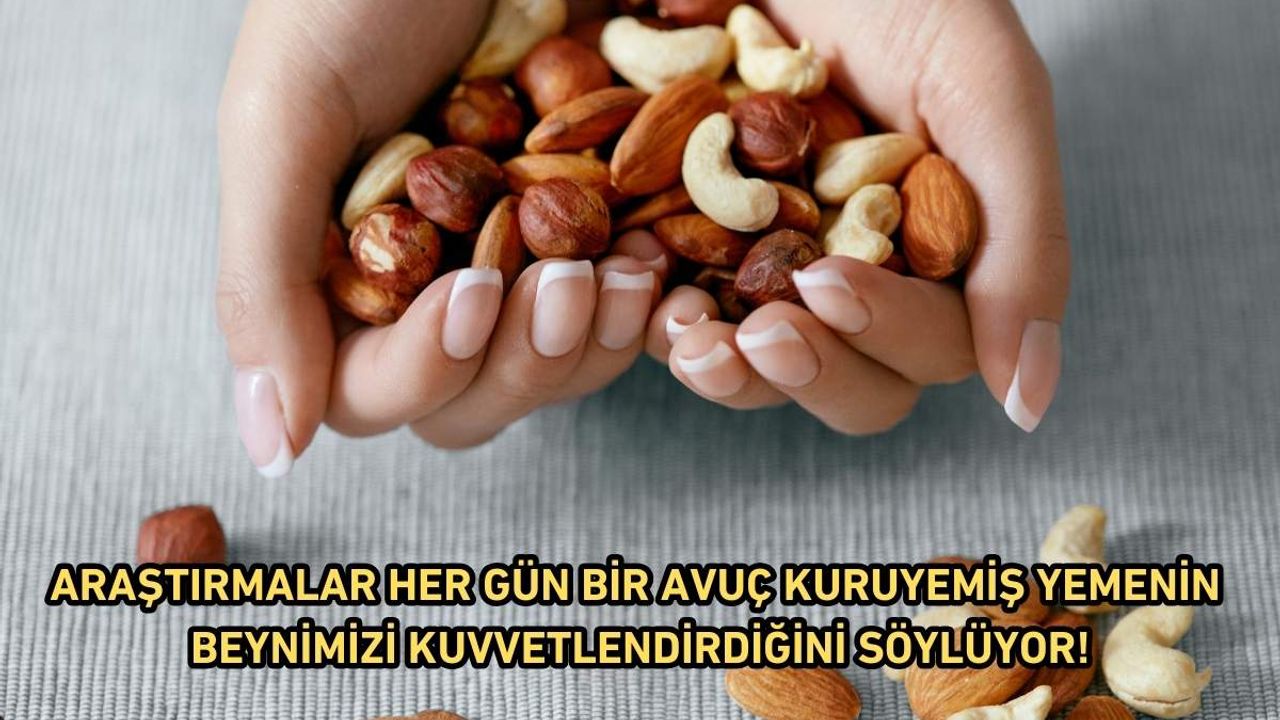 Araştırmalar her gün bir avuç kuruyemiş yemenin beynimizi kuvvetlendirdiğini söylüyor!