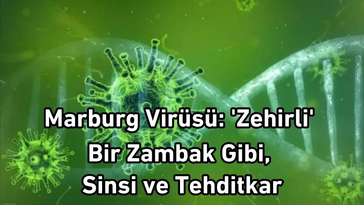 Marburg Virüsü: 'Zehirli' Bir Zambak Gibi, Sinsi ve Tehditkar