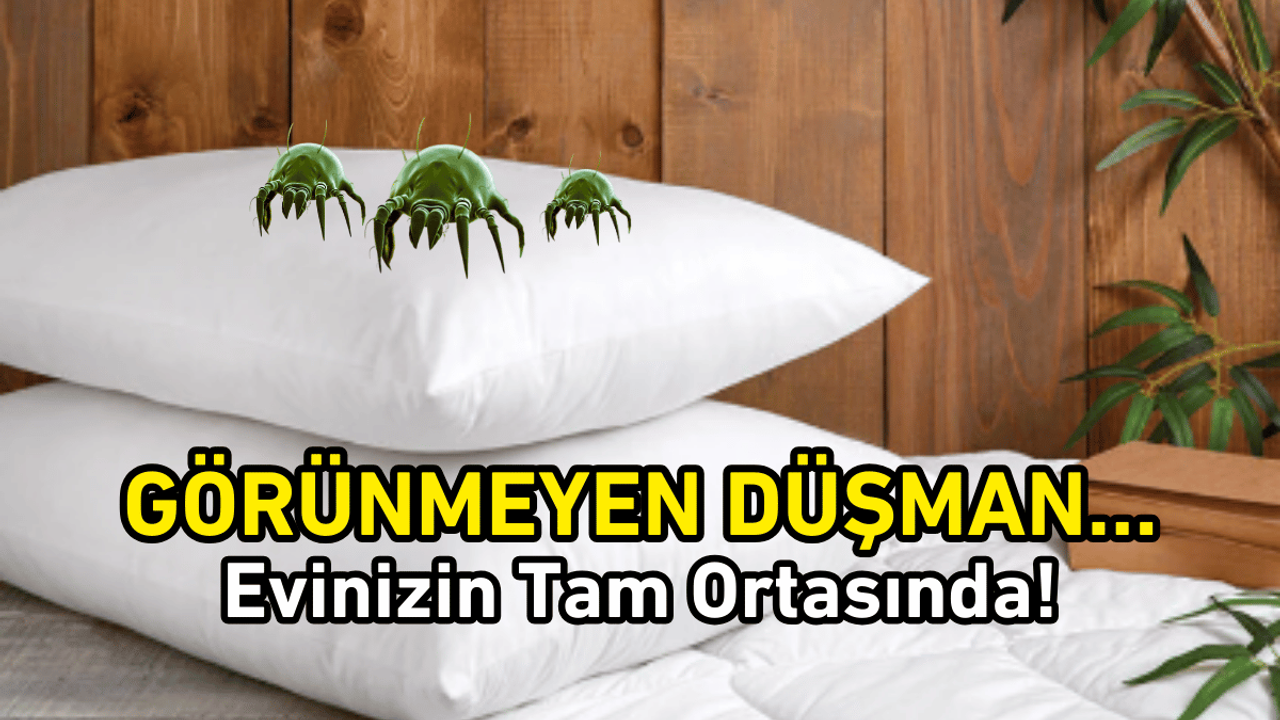 Mayt Nedir ve Nerelerde Bulunur? Görmediğiniz Düşman Evinizin Tam Ortasında!