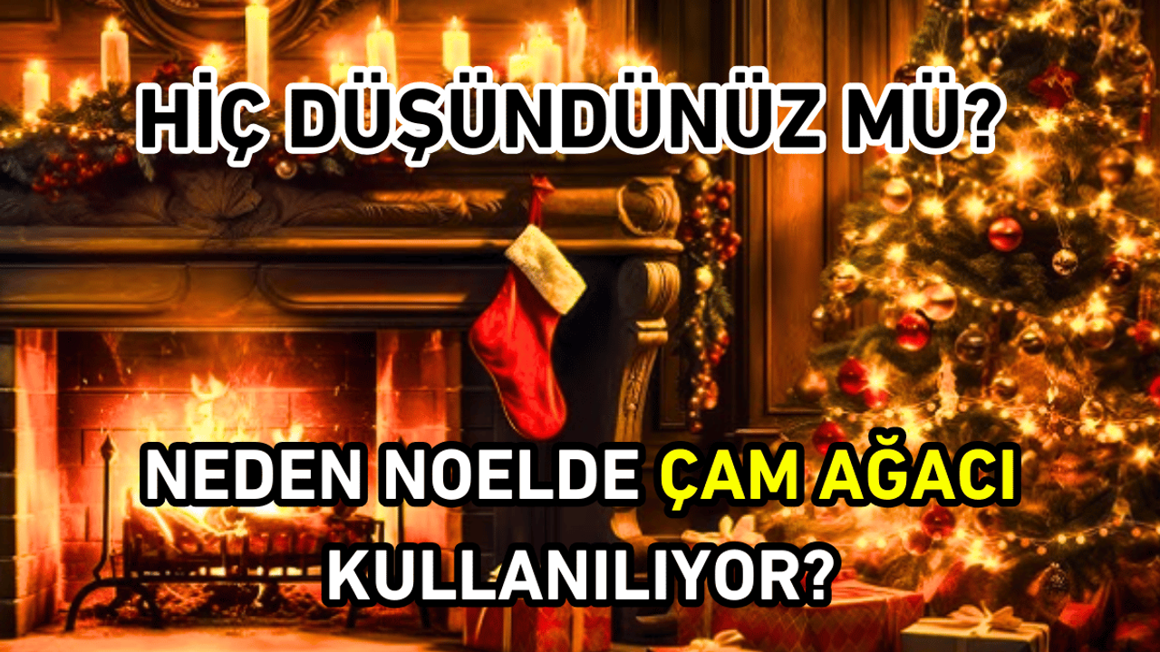 Hiç düşündünüz mü? Neden noelde çam ağacı kullanılıyor?