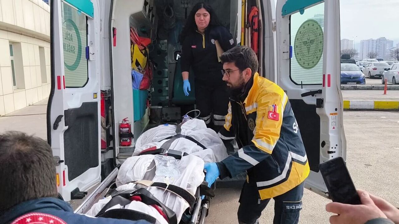 Domuz avına çıkan muhtara ayı saldırdı; Ağır yaralandı!