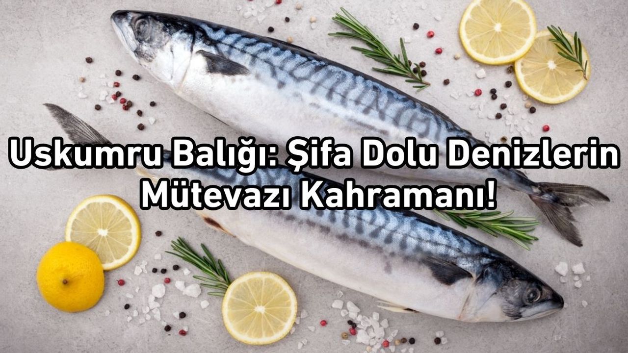 Uskumru Balığı: Şifa Dolu Denizlerin Mütevazı Kahramanı!