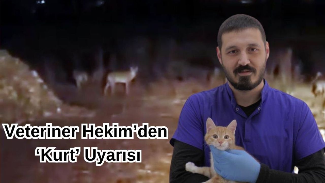 Kayseri'de vatandaşlara uyarı! Kurtlar Şehre Yaklaşıyor…