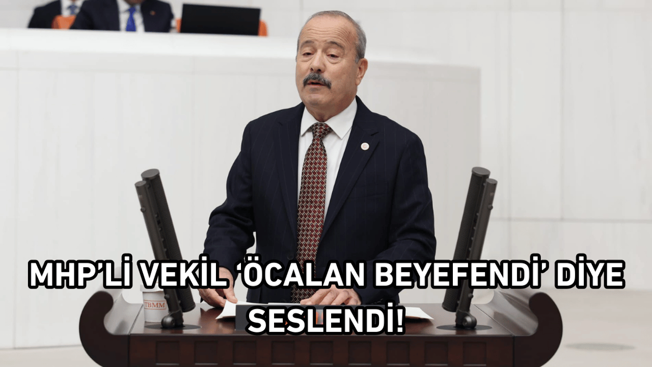 MHP’li vekil ‘Öcalan Beyefendi’ diye seslendi!