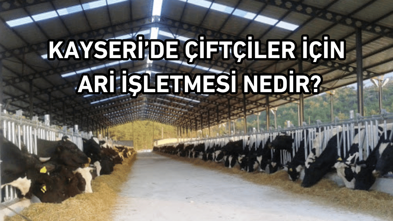 Kayseri’de çiftçiler için ARİ işletmesi nedir?