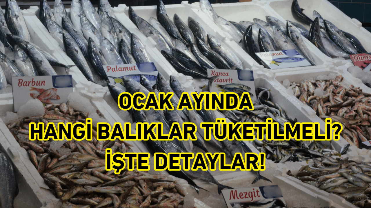 Ocak ayında hangi balıklar tüketilmeli? İşte Detaylar