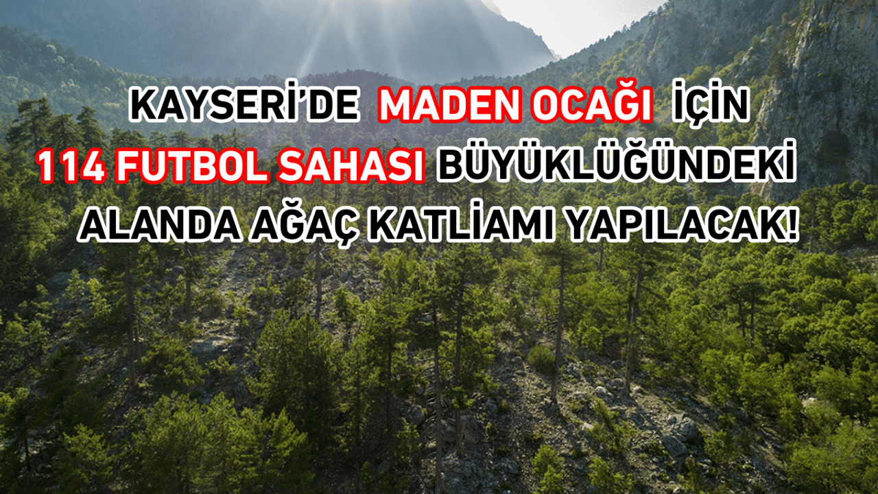 Kayseri’de maden ocağı için 114 futbol sahası büyüklüğündeki alanda ağaç katliamı yapılacak!
