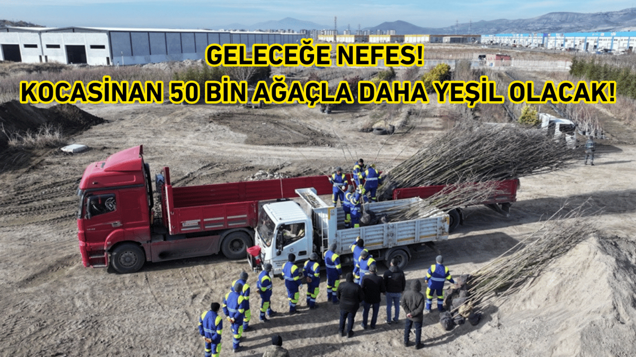 Geleceğe nefes! Kocasinan 50 bin ağaçla daha yeşil olacak!