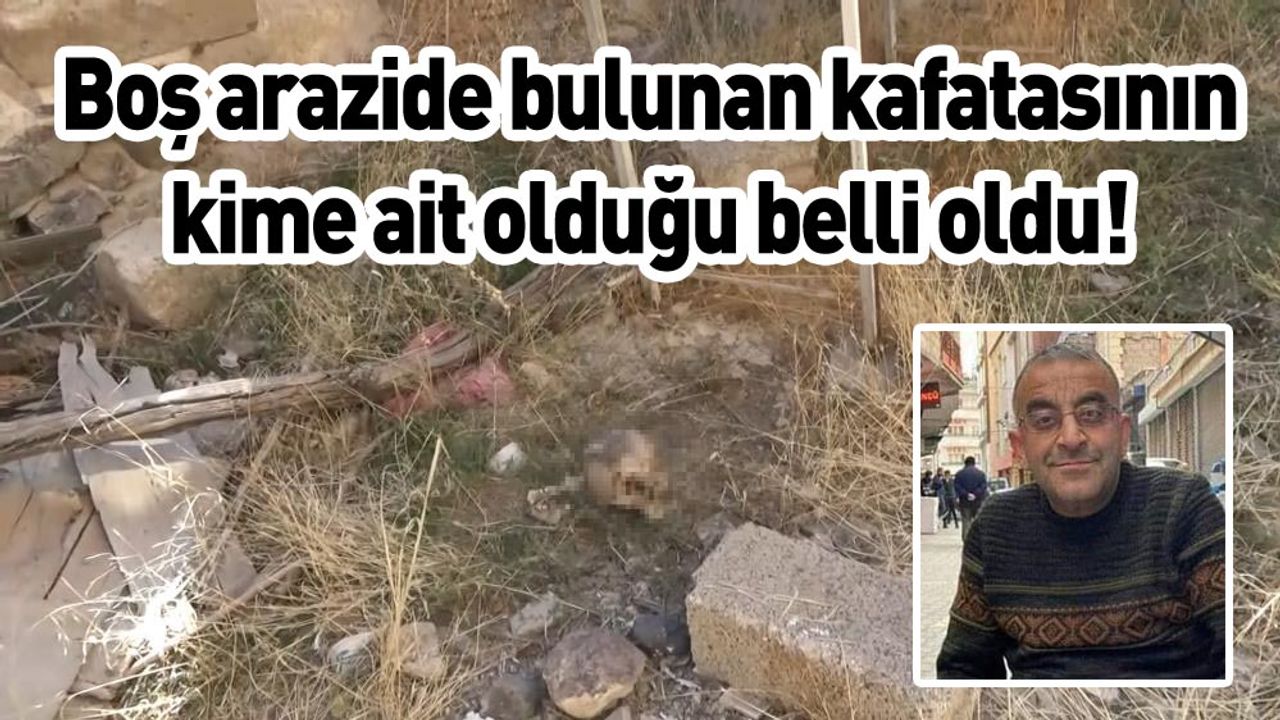 Boş arazide bulunan kafatasının kime ait olduğu belli oldu!