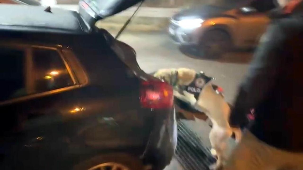 Kayseri’de zehir tacirlerine suçüstü!