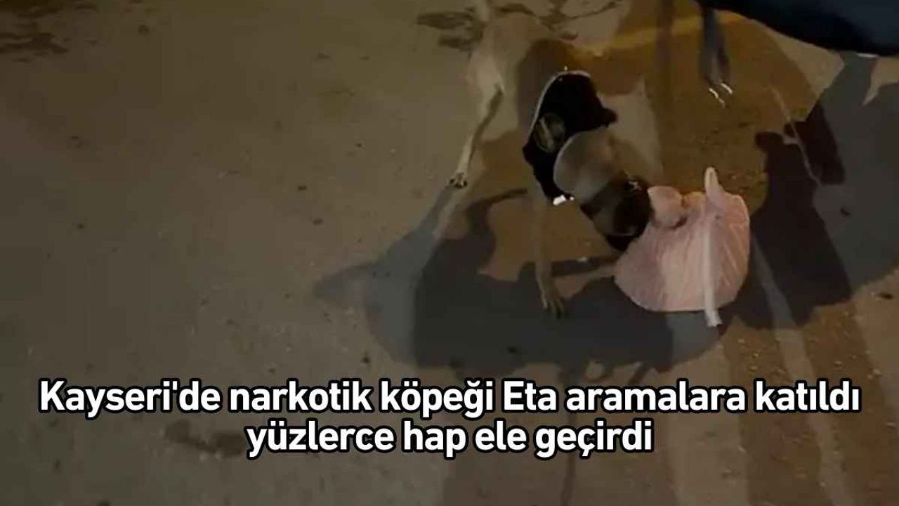 Kayseri'de narkotik köpeği Eta aramalara katıldı, yüzlerce hap ele geçirdi