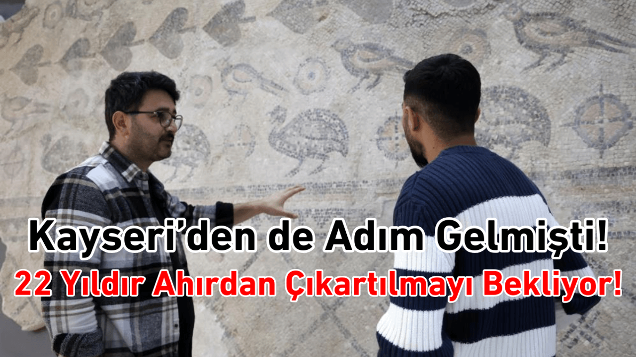 Kayseri’den de ekipler devreye girmişti! 22 yıldır ahırdan çıkartılmayı bekliyor!