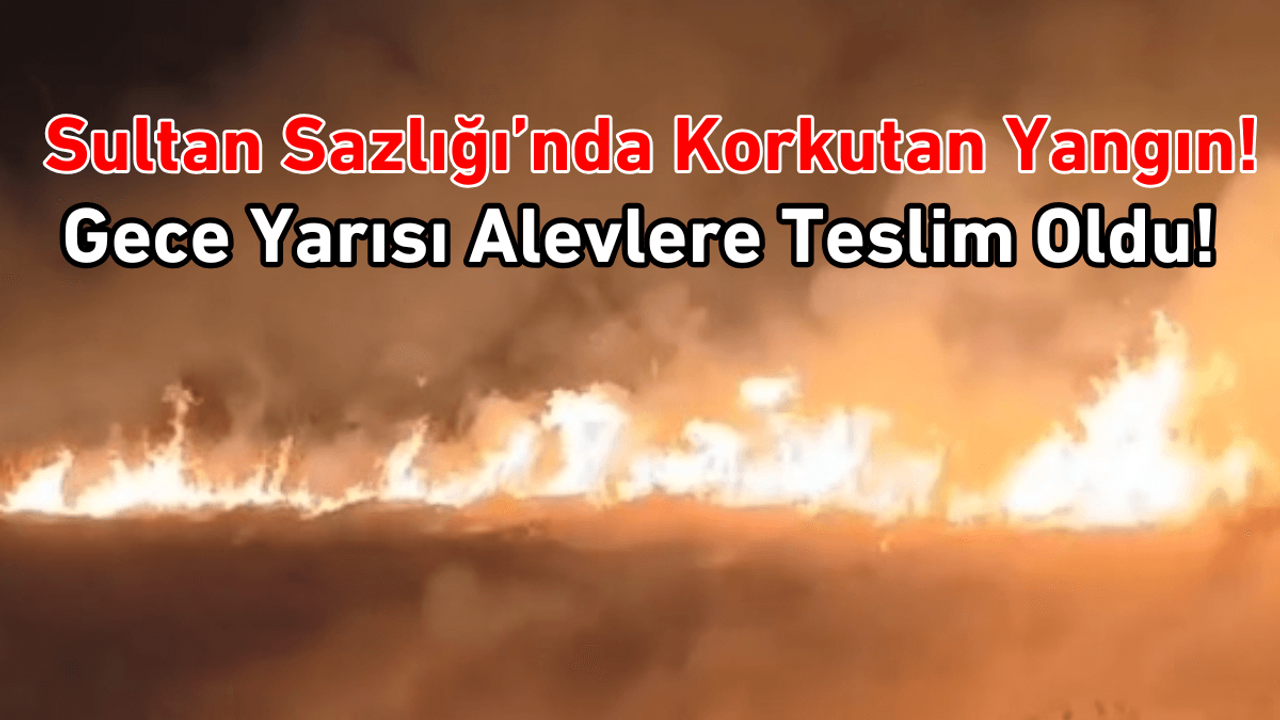 Kayseri’de korkutan yangın! Sultan Sazlığı alevlere teslim oldu!