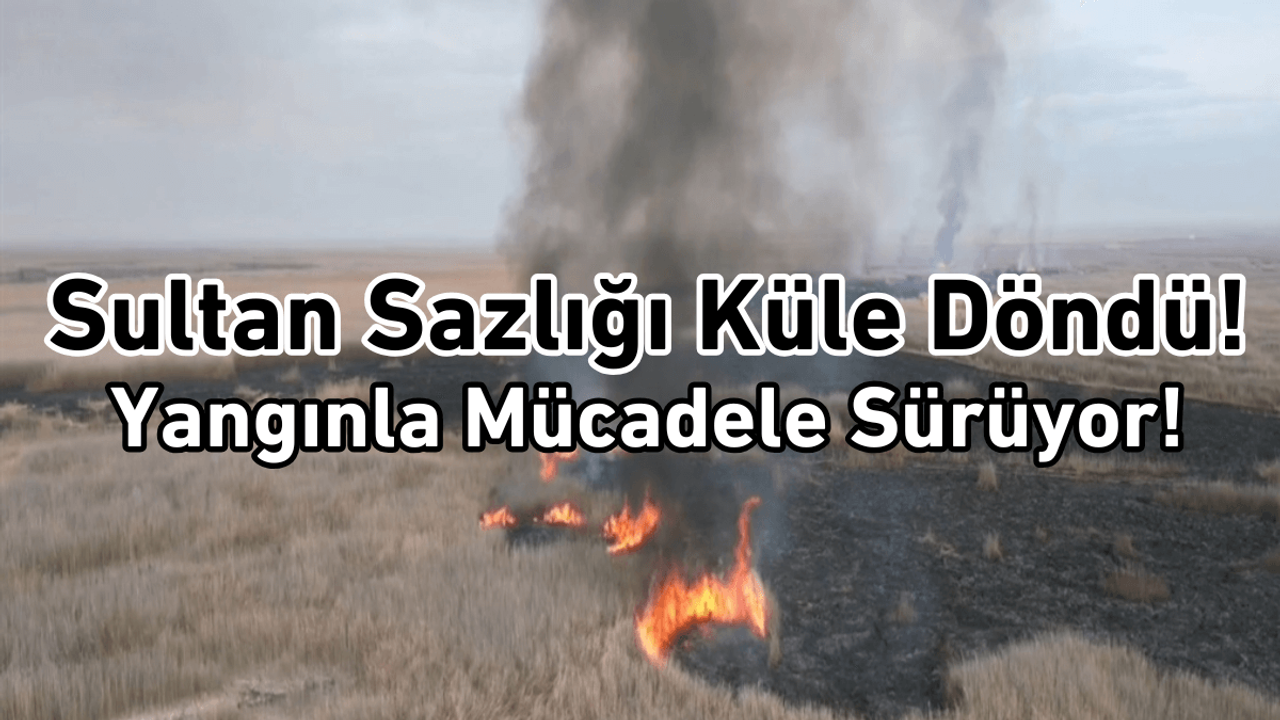 Sultan Sazlığı küle döndü! Yangınla mücadele sürüyor!