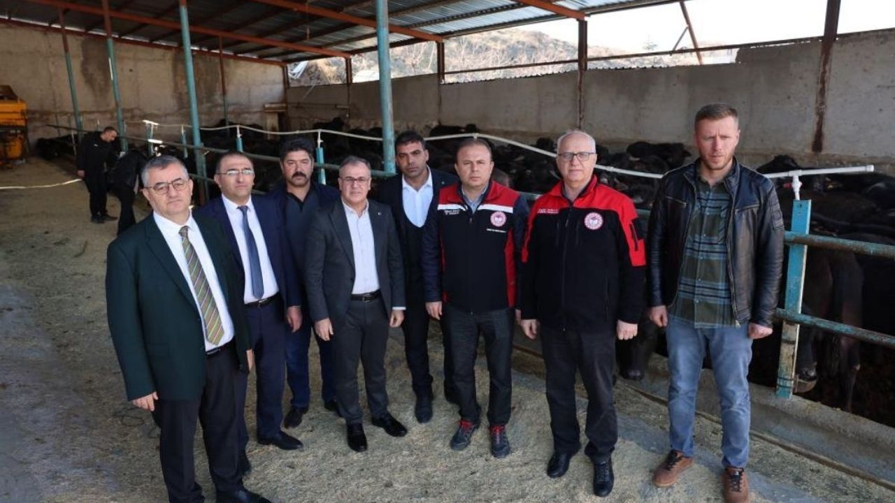 Kayseri’de manda yetiştiricilerine 7 milyonluk destek!
