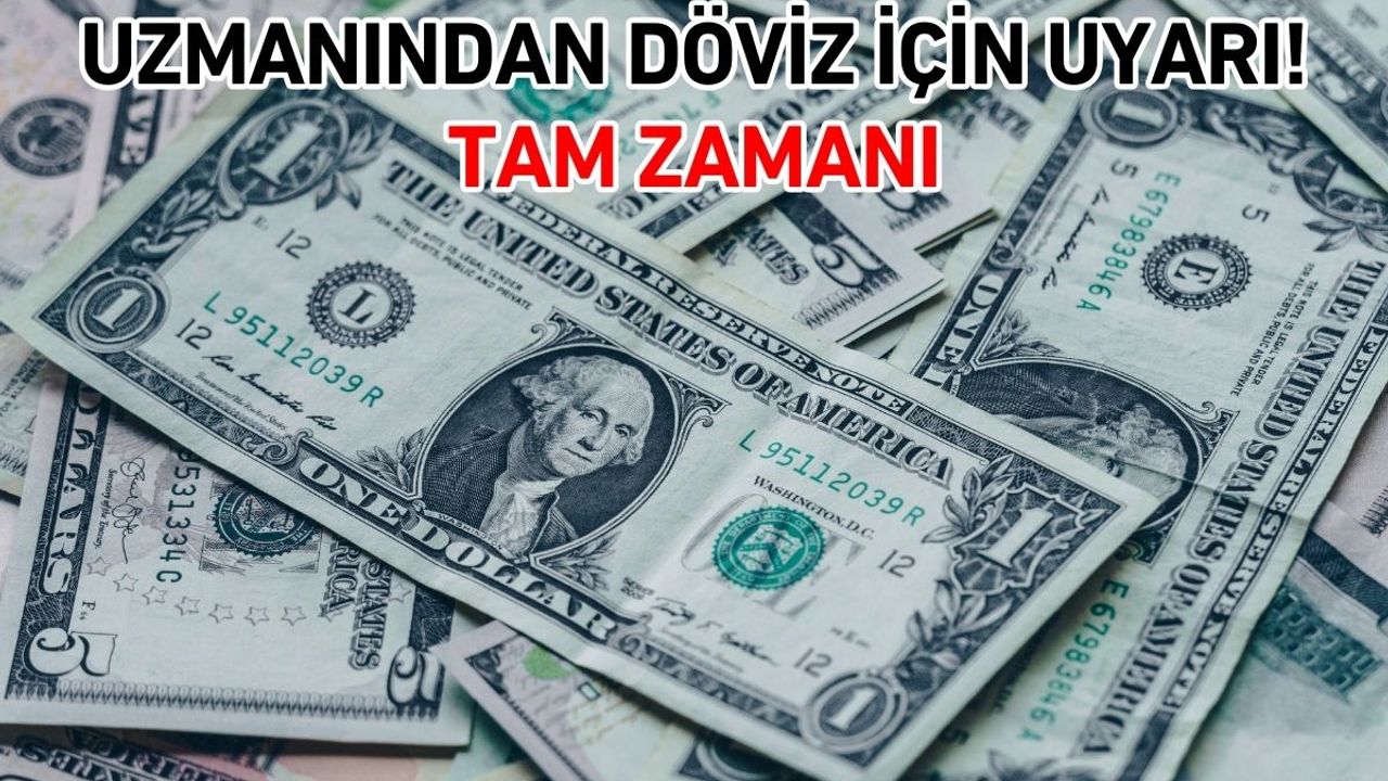 Uzmanından döviz için uyarı! Tam zamanı