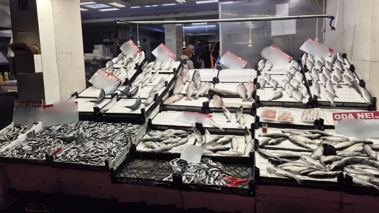 Kayseri’de balık fiyatları enflasyonu ezdi geçti! Hamsi 175, somon...