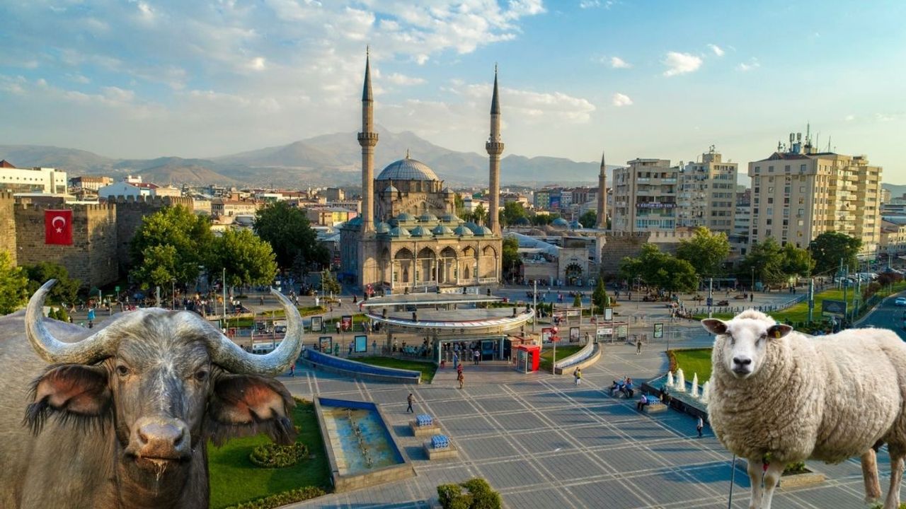 Kayseri'de bu rakamlar sizi çok şaşırtacak! Sayıları milyona yaklaştı