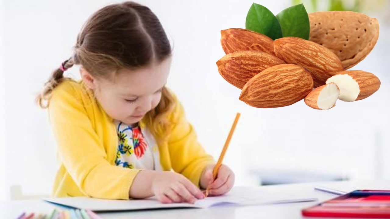 Bademin Beyin Sağlığına Faydaları