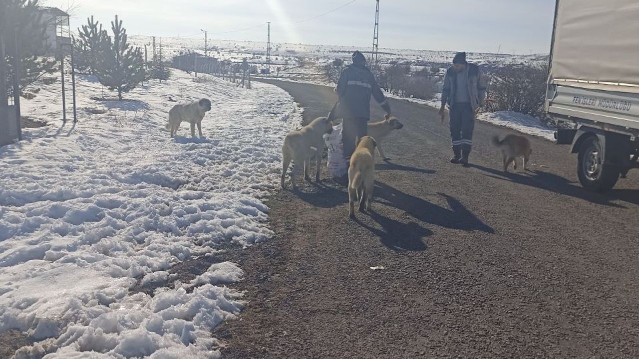 Ürgüp Belediye Başkanı’nın iddiasına, İncesu Belediyesi’nden yalanlama geldi!