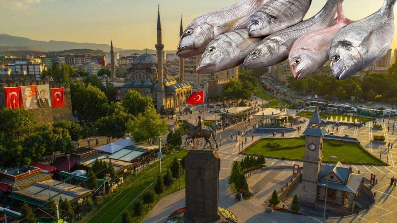Kayseri’de balık pulundan bakın ne yaptılar!