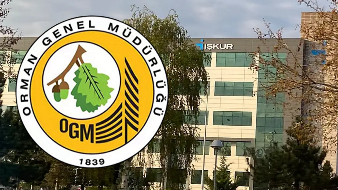 Kayseri’de İŞKUR, Orman Genel Müdürlüğü'ne 12 işçi alacak! İşte aranan şartlar