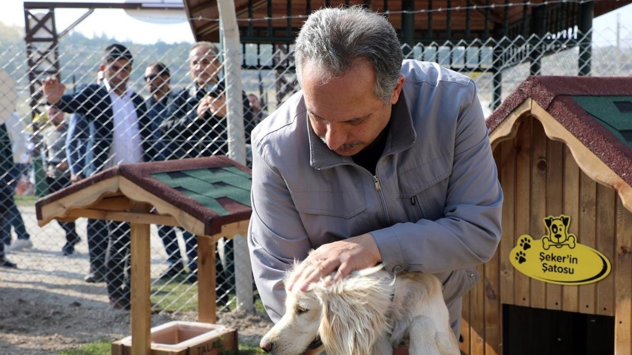 Kayseri Talas'ta 'Pati Evi' örnek oluyor! Türkiye’de ilk 3’e girdi